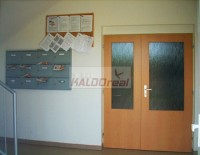 /album/selpice4/selpice5-jpg2/