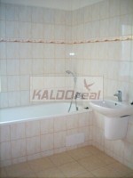 /album/selpice4/selpice7-jpg2/