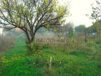 /album/malzenice/malzenice7-jpg/